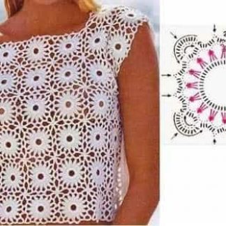 A photo of 12th blouse (top), chart, crochet