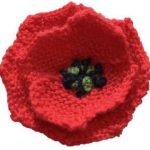 A 5th photo of miscellaneous stuff - flower, knitted