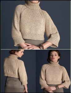 A photo of the 72nd sweater, second view