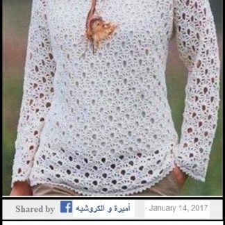 A photo of 83rd blouse, crochet