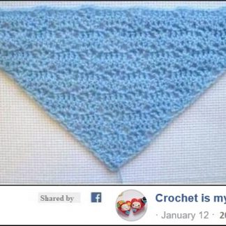 A photo of the 113th shawl, crochet